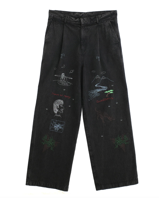 Questions Pleated Pant - Washed Black